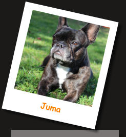 Juma