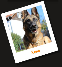Xena
